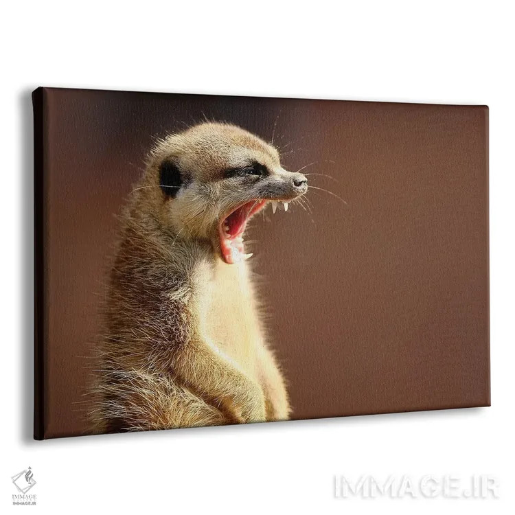 تابلو لبخند اثر گوران آناستاسوفسکی (عکاس طبیعت مقدونیه) - نمای پرسپکتیو محصول