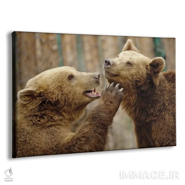 تابلو عشق واقعی اثر گوران آناستاسوفسکی (عکاس طبیعت مقدونیه) - نمای پرسپکتیو محصول