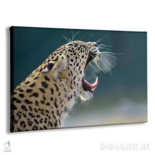 تابلو پلنگ سیگاری اثر گوران آناستاسوفسکی (عکاس طبیعت مقدونیه) - نمای پرسپکتیو محصول