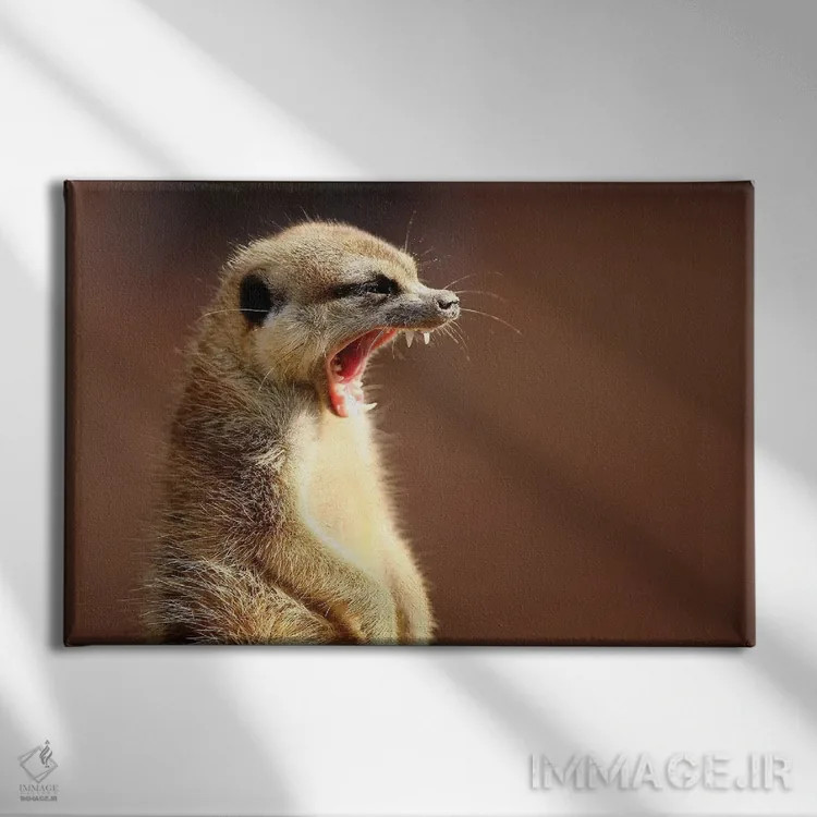 تابلو لبخند اثر گوران آناستاسوفسکی (عکاس طبیعت مقدونیه) - نمای روبهرو روی دیوار