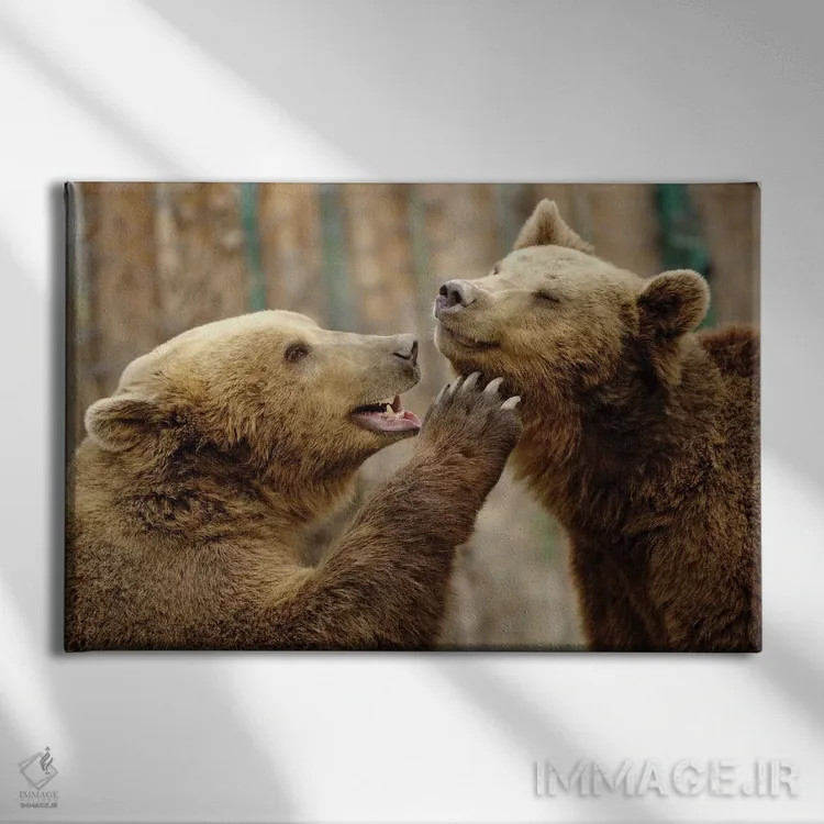 تابلو عشق واقعی اثر گوران آناستاسوفسکی (عکاس طبیعت مقدونیه) - نمای روبهرو روی دیوار