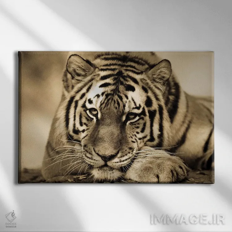 تابلو ببر دوم اثر گوران آناستاسوفسکی (عکاس طبیعت مقدونیه) - نمای روبهرو روی دیوار