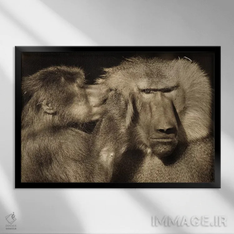 تابلو صحبت اثر گوران آناستاسوفسکی (عکاس طبیعت مقدونیه) - نمای قابدار مشکی