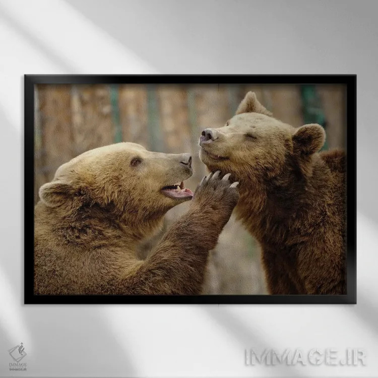 تابلو عشق واقعی اثر گوران آناستاسوفسکی (عکاس طبیعت مقدونیه) - نمای قابدار مشکی