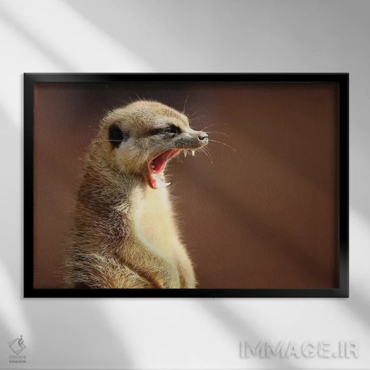 تابلو لبخند اثر گوران آناستاسوفسکی (عکاس طبیعت مقدونیه) - نمای قابدار مشکی