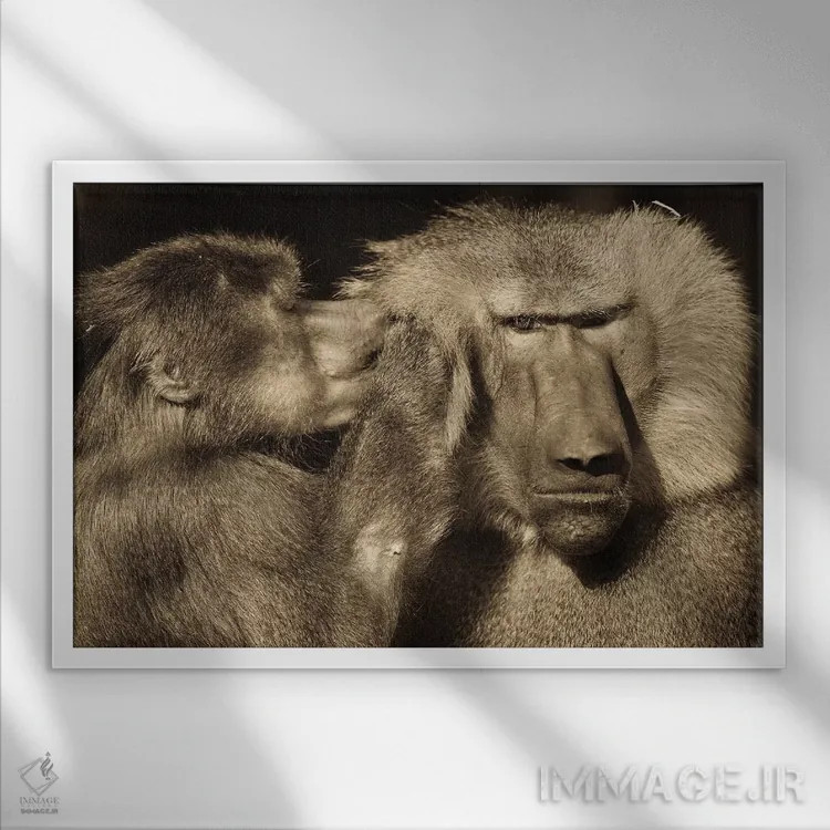 تابلو صحبت اثر گوران آناستاسوفسکی (عکاس طبیعت مقدونیه) - نمای قابدار سفید