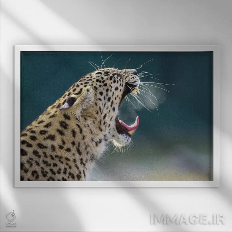 تابلو پلنگ سیگاری اثر گوران آناستاسوفسکی (عکاس طبیعت مقدونیه) - نمای قابدار سفید