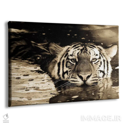 تابلو ببر نهم اثر گوران آناستاسوفسکی (عکاس طبیعت مقدونیه) - نمای پرسپکتیو محصول