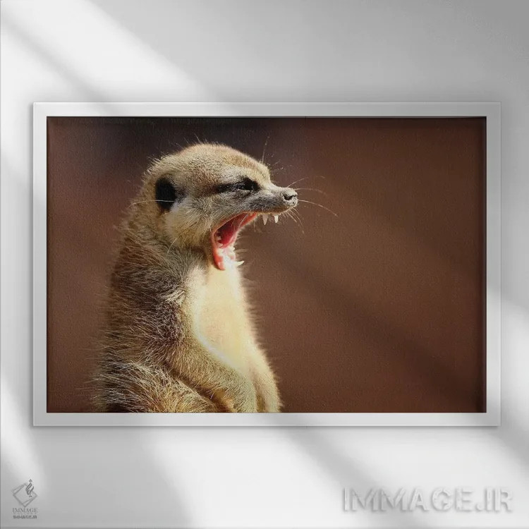 تابلو لبخند اثر گوران آناستاسوفسکی (عکاس طبیعت مقدونیه) - نمای قابدار سفید