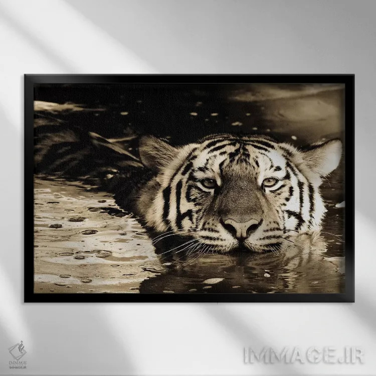 تابلو ببر نهم اثر گوران آناستاسوفسکی (عکاس طبیعت مقدونیه) - نمای قابدار مشکی