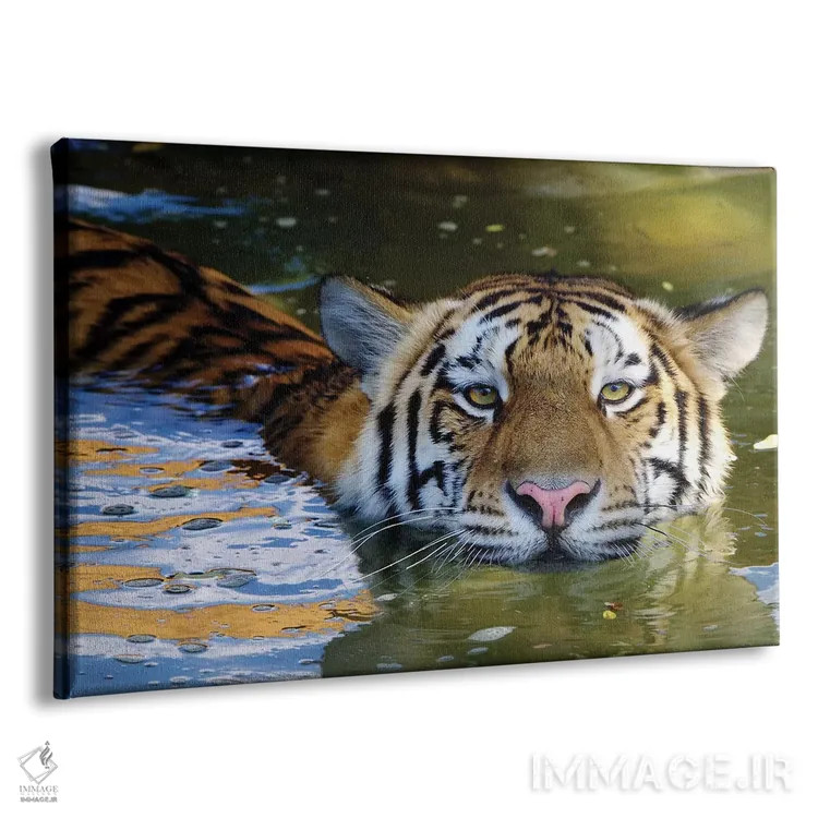 تابلو ببر ششم اثر گوران آناستاسوفسکی (عکاس طبیعت مقدونیه) - نمای پرسپکتیو محصول