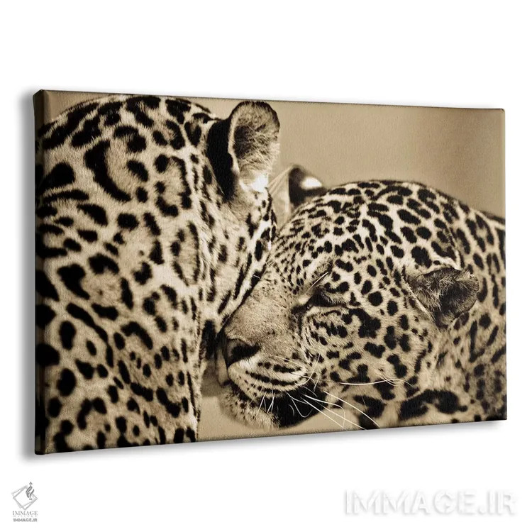 تابلو عشق حقیقی اثر گوران آناستاسوفسکی (عکاس طبیعت مقدونیه) - نمای پرسپکتیو محصول