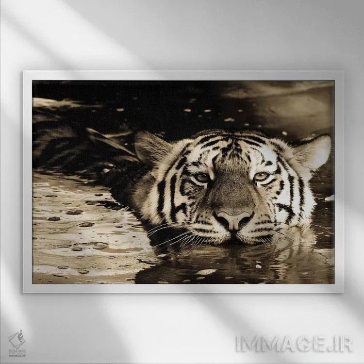 تابلو ببر نهم اثر گوران آناستاسوفسکی (عکاس طبیعت مقدونیه) - نمای قابدار سفید