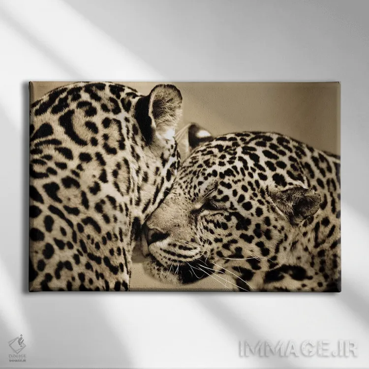 تابلو عشق حقیقی اثر گوران آناستاسوفسکی (عکاس طبیعت مقدونیه) - نمای روبهرو روی دیوار