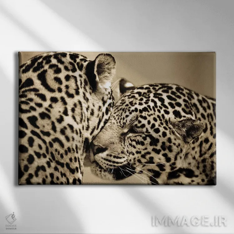 تابلو عشق حقیقی اثر گوران آناستاسوفسکی (عکاس طبیعت مقدونیه) - نمای روبهرو روی دیوار