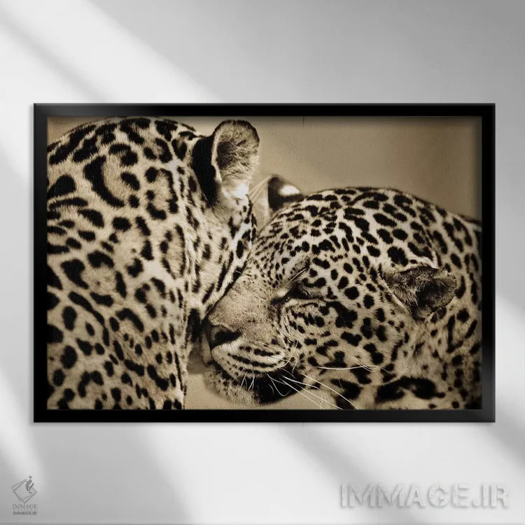 تابلو عشق حقیقی اثر گوران آناستاسوفسکی (عکاس طبیعت مقدونیه) - نمای قابدار مشکی