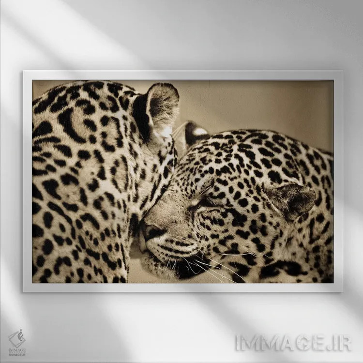 تابلو عشق حقیقی اثر گوران آناستاسوفسکی (عکاس طبیعت مقدونیه) - نمای قابدار سفید