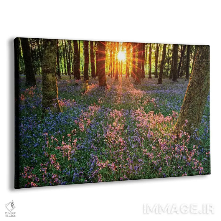 تابلو برداشتهایی از گلهای زنگولهای، کوتهال، شهرستان رسکامون، ایرلند اثر گارث مککورمک - نمای پرسپکتیو محصول