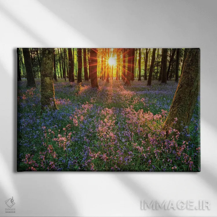 تابلو برداشتهایی از گلهای زنگولهای، کوتهال، شهرستان رسکامون، ایرلند اثر گارث مککورمک - نمای روبهرو روی دیوار