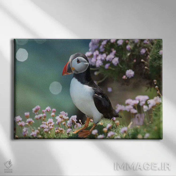تابلو مرغ دریایی پافین دوم، جزیره بزرگ سالتی، شهرستان وکسفورد، ایرلند اثر گارث مککورمک - نمای روبهرو روی دیوار