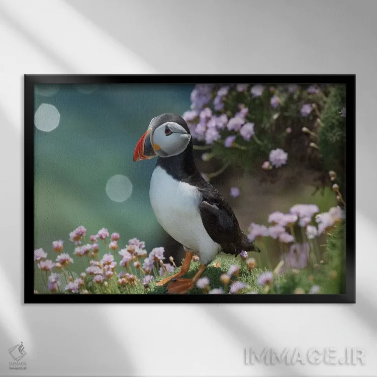تابلو مرغ دریایی پافین دوم، جزیره بزرگ سالتی، شهرستان وکسفورد، ایرلند اثر گارث مککورمک - نمای قابدار مشکی