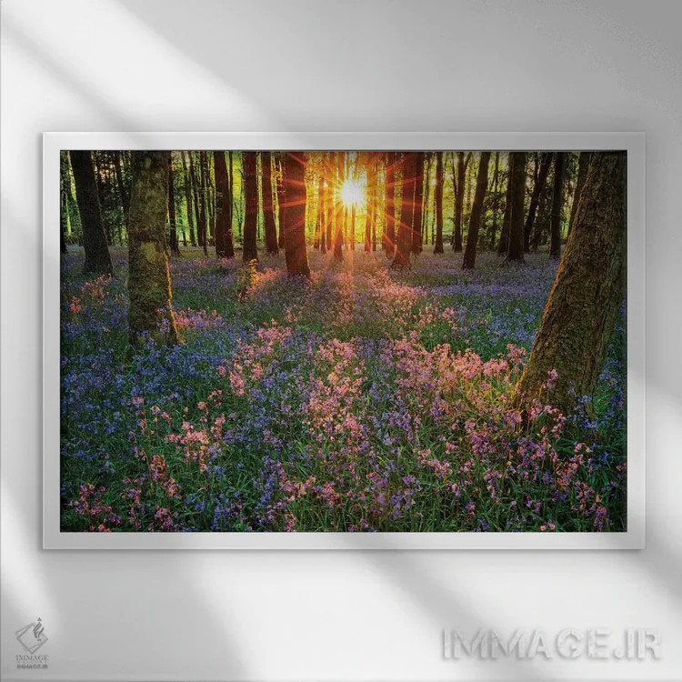 تابلو برداشتهایی از گلهای زنگولهای، کوتهال، شهرستان رسکامون، ایرلند اثر گارث مککورمک - نمای قابدار سفید