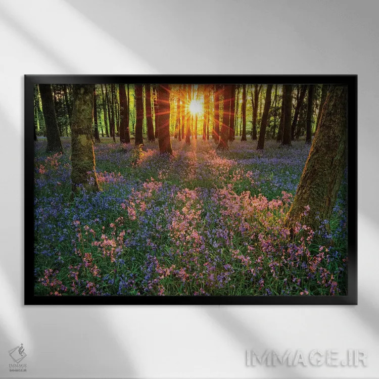 تابلو برداشتهایی از گلهای زنگولهای، کوتهال، شهرستان رسکامون، ایرلند اثر گارث مککورمک - نمای قابدار مشکی