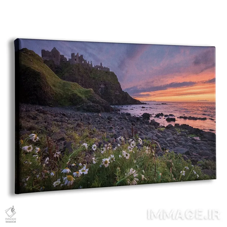 تابلو گلهای مروارید چشمگاوی عصرگاهی زیر قلعه دانلوس، ساحل جاینت، شهرستان انترم، ایرلند شمالی اثر گارث مککورمک - نمای پرسپکتیو محصول