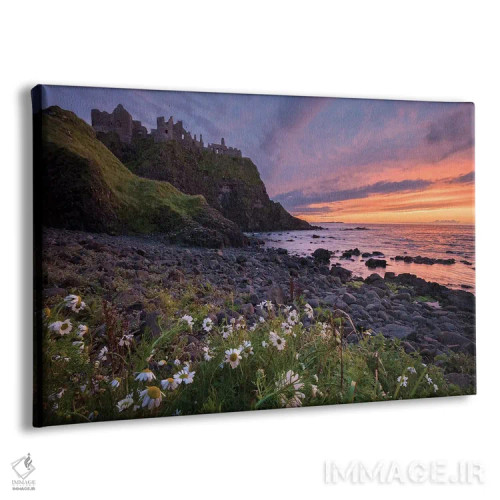 تابلو گلهای مروارید چشمگاوی عصرگاهی زیر قلعه دانلوس، ساحل جاینت، شهرستان انترم، ایرلند شمالی اثر گارث مککورمک - نمای پرسپکتیو محصول