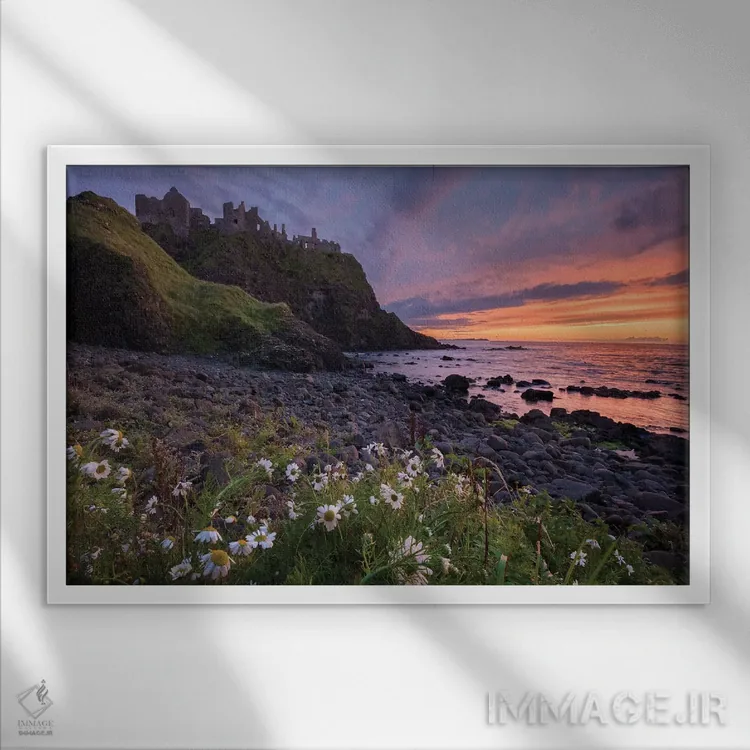 تابلو گلهای مروارید چشمگاوی عصرگاهی زیر قلعه دانلوس، ساحل جاینت، شهرستان انترم، ایرلند شمالی اثر گارث مککورمک - نمای قابدار سفید