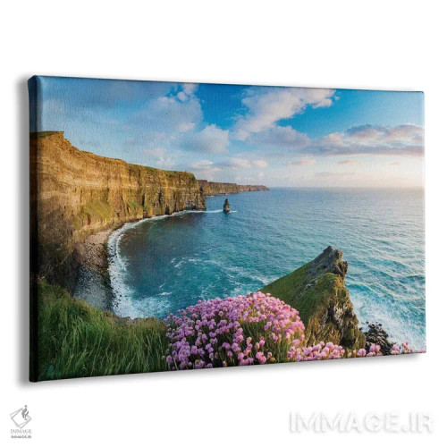 تابلو گل دریایی لبه پرتگاه دوم، صخرههای موهر، شهرستان کلیر، ایرلند اثر گارث مککورمک - نمای پرسپکتیو محصول