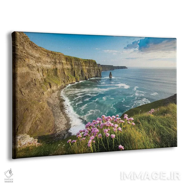 تابلو گل دریایی روی صخرههای موهر دوم اثر گارث مککورمک - نمای پرسپکتیو محصول