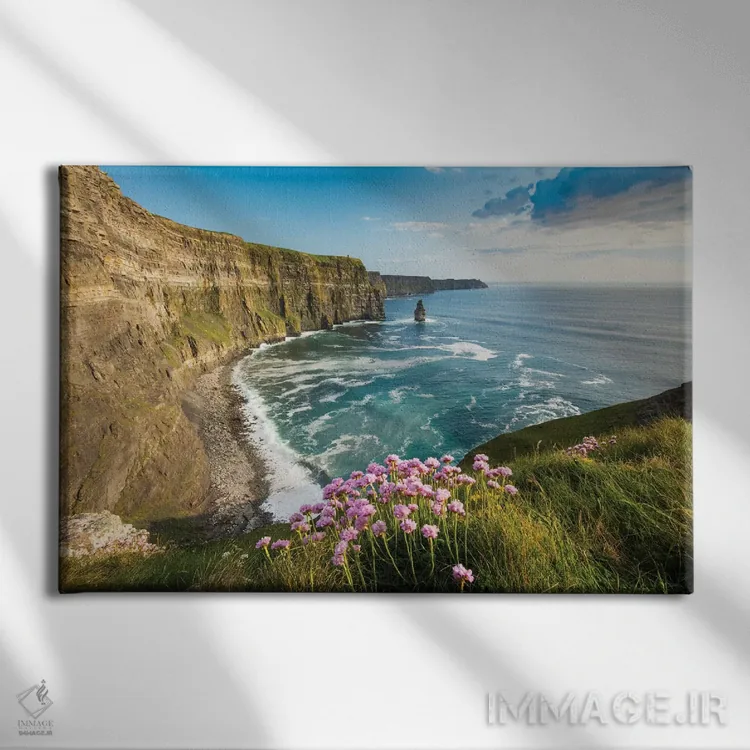 تابلو گل دریایی روی صخرههای موهر دوم اثر گارث مککورمک - نمای روبهرو روی دیوار