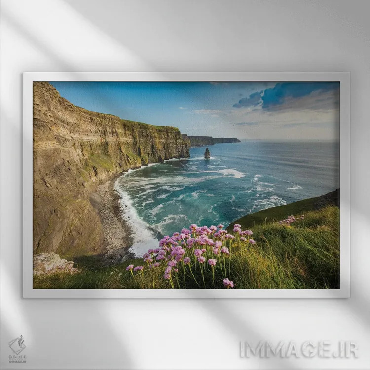 تابلو گل دریایی روی صخرههای موهر دوم اثر گارث مککورمک - نمای قابدار سفید