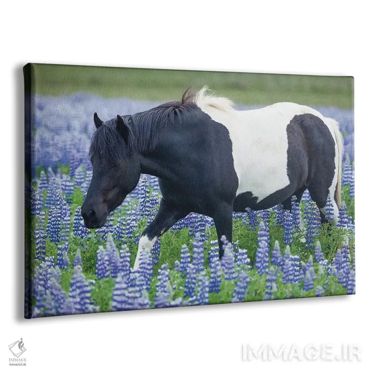 تابلو پونی ایسلندی و لوپینها اثر گارث مککورمک - نمای پرسپکتیو محصول