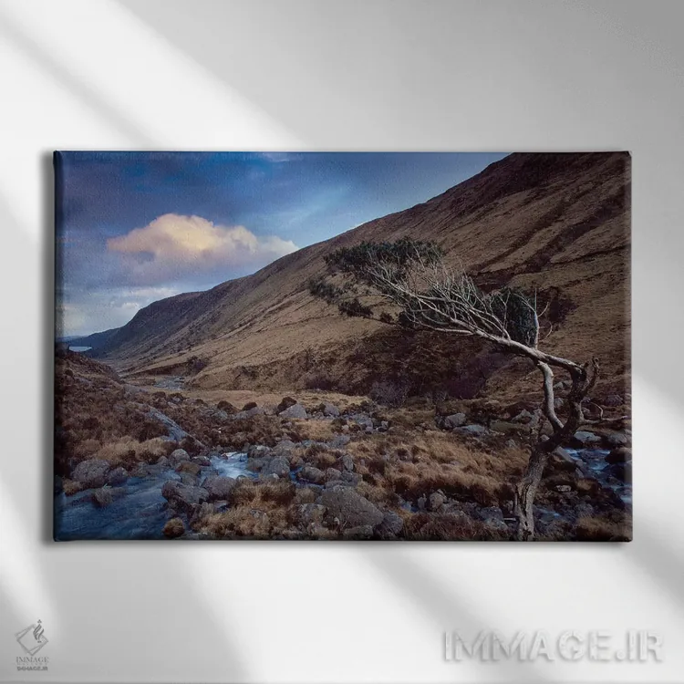 تابلو گلنوِی (پارک ملی ایرلند) اثر گارث مککورمک - نمای روبهرو روی دیوار