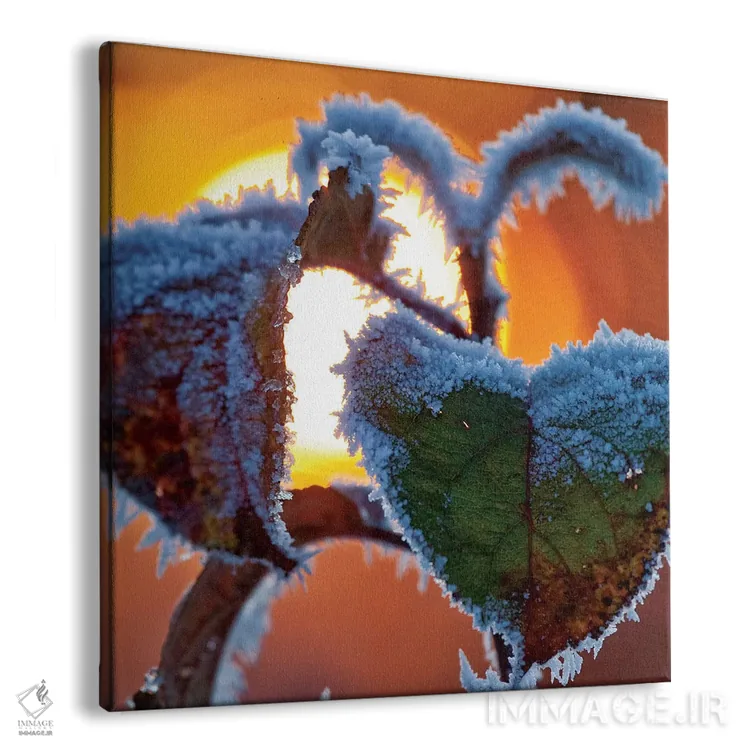 تابلو برگهای یخزده در غروب، شهرستان اسلایگو، استان کوناکت، جمهوری ایرلند اثر گارث مککورمک - نمای پرسپکتیو محصول