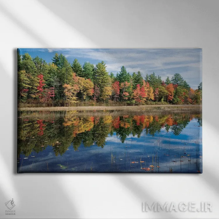 تابلو بازتاب پاییزی اول، رودخانه اسیپی، مین، آمریکا اثر گارث مککورمک - نمای روبهرو روی دیوار