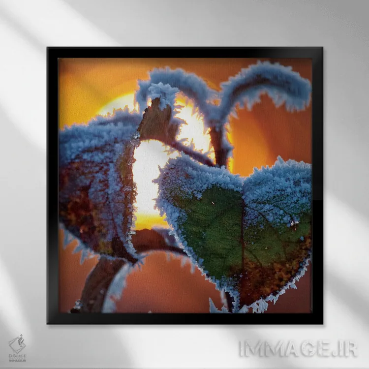 تابلو برگهای یخزده در غروب، شهرستان اسلایگو، استان کوناکت، جمهوری ایرلند اثر گارث مککورمک - نمای قابدار مشکی