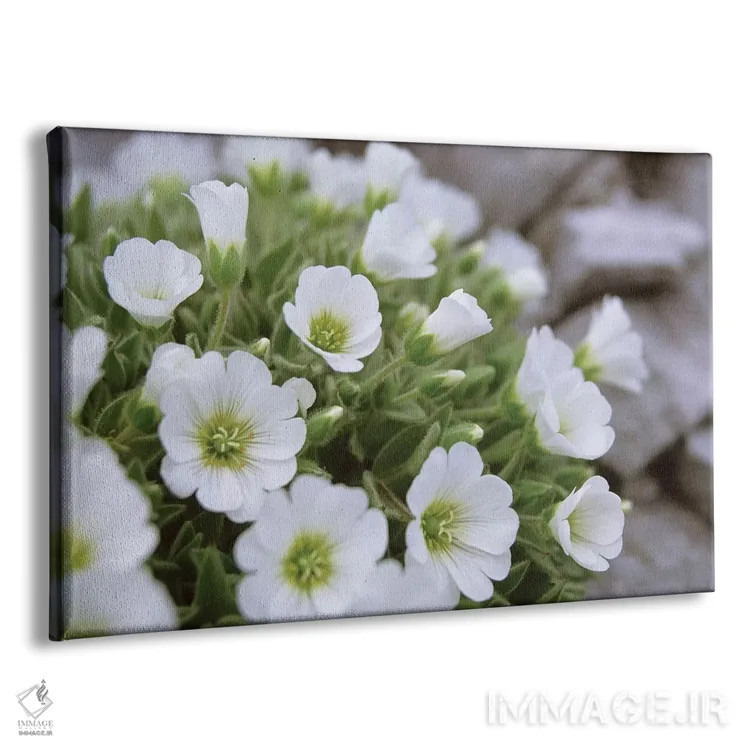 تابلو گل آون کوهی، آلپ مرکزی شرقی، اتریش اثر گارث مککورمک - نمای پرسپکتیو محصول