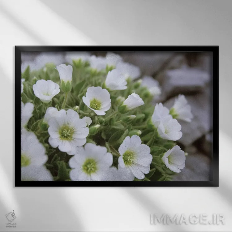 تابلو گل آون کوهی، آلپ مرکزی شرقی، اتریش اثر گارث مککورمک - نمای قابدار مشکی