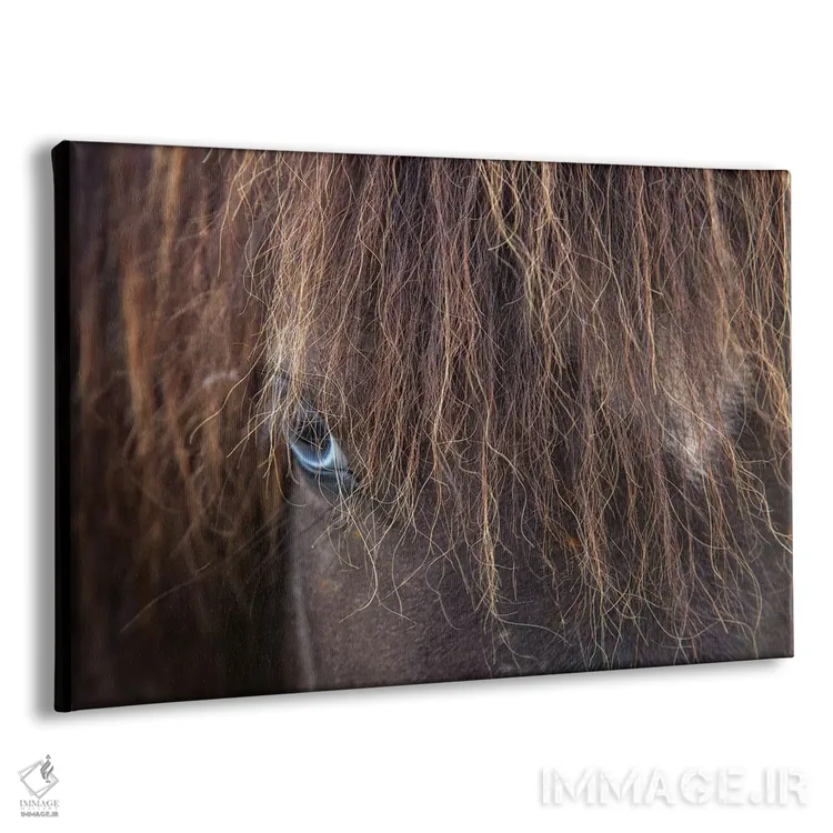 تابلو اسب ایسلندی چشمآبی، وارمالید، اسکاگافیوردور، نوردورلاند وسترا، ایسلند اثر گارث مککورمک - نمای پرسپکتیو محصول