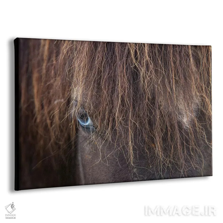 تابلو اسب ایسلندی چشمآبی، وارمالید، اسکاگافیوردور، نوردورلاند وسترا، ایسلند اثر گارث مککورمک - نمای پرسپکتیو محصول