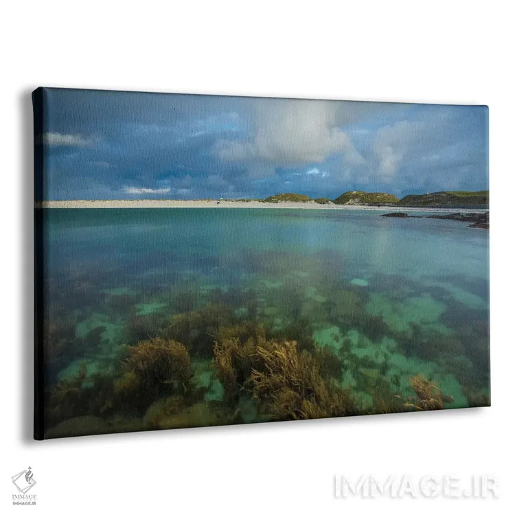 تابلو باغ زیر آب اول، خلیج داگز، کونمارا، شهرستان گالوی، استان کوناکت، جمهوری ایرلند اثر گارث مککورمک - نمای پرسپکتیو محصول