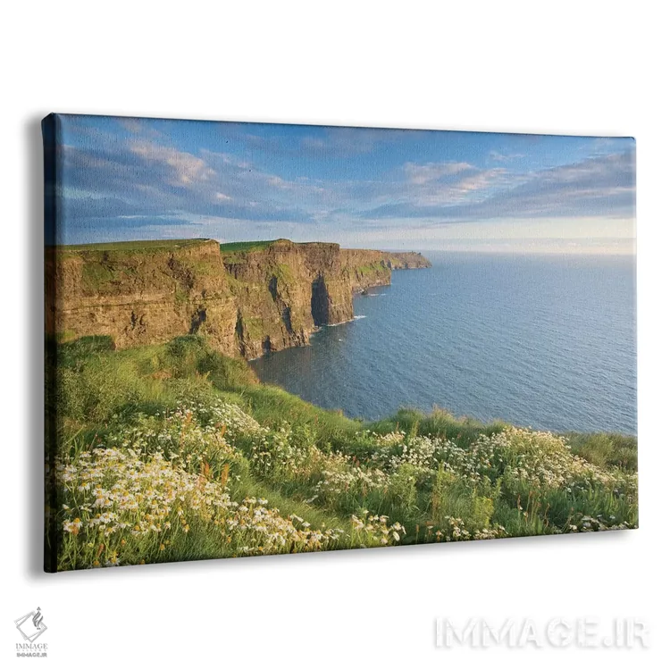 تابلو مرواریدهای تابستانی، صخرههای موهر، شهرستان کلیر، استان مانستر، جمهوری ایرلند اثر گارث مککورمک - نمای پرسپکتیو محصول