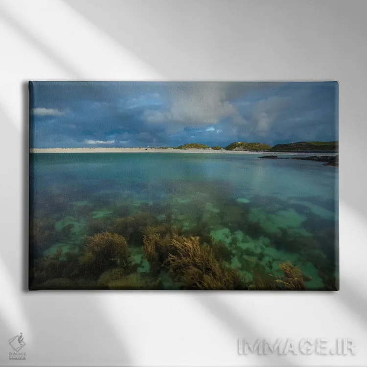 تابلو باغ زیر آب اول، خلیج داگز، کونمارا، شهرستان گالوی، استان کوناکت، جمهوری ایرلند اثر گارث مککورمک - نمای روبهرو روی دیوار