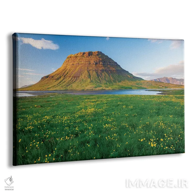 تابلو دشت گل آلاله اول، کیرکیوفل، گروندارفیوردور، شبهجزیره اسنافلسنس، وستورلند، ایسلند اثر گارث مککورمک - نمای پرسپکتیو محصول
