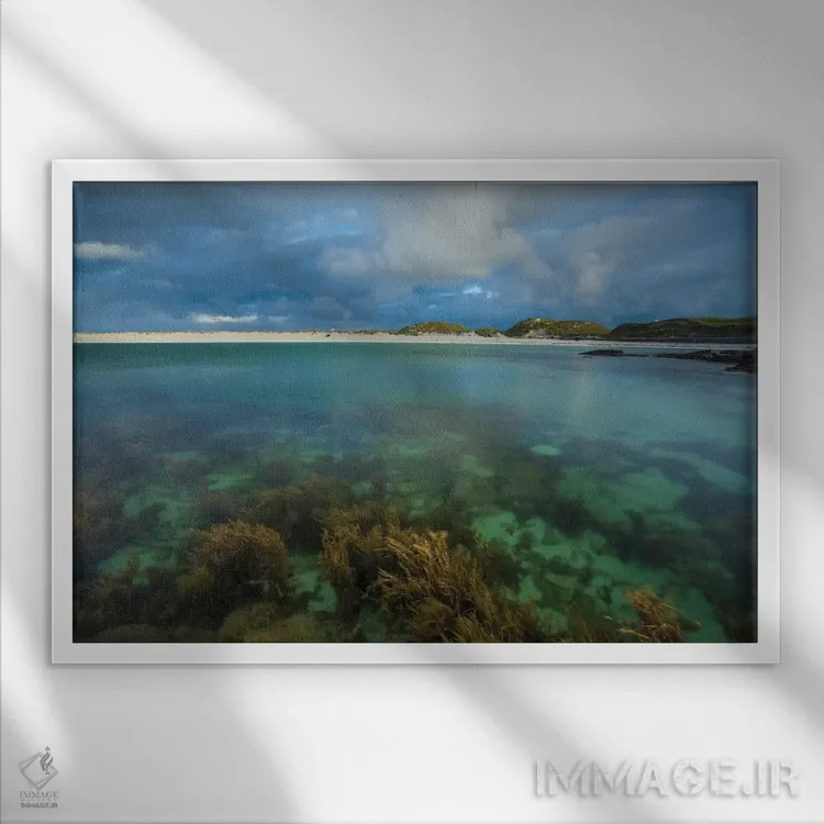 تابلو باغ زیر آب اول، خلیج داگز، کونمارا، شهرستان گالوی، استان کوناکت، جمهوری ایرلند اثر گارث مککورمک - نمای قابدار سفید