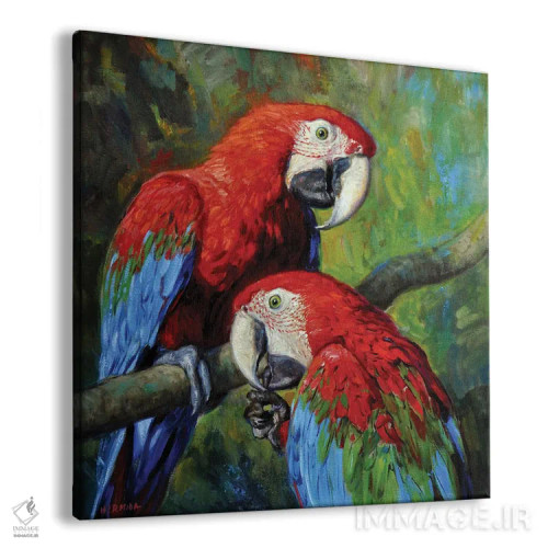 تابلو طوطیهای قرمز(مکائو) اثر گابریل هرمیدا - نمای پرسپکتیو محصول
