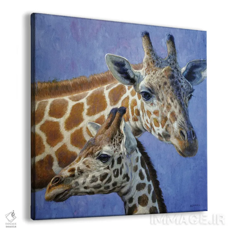 تابلو پیوند ویژه ۲ اثر گابریل هرمیدا - نمای پرسپکتیو محصول